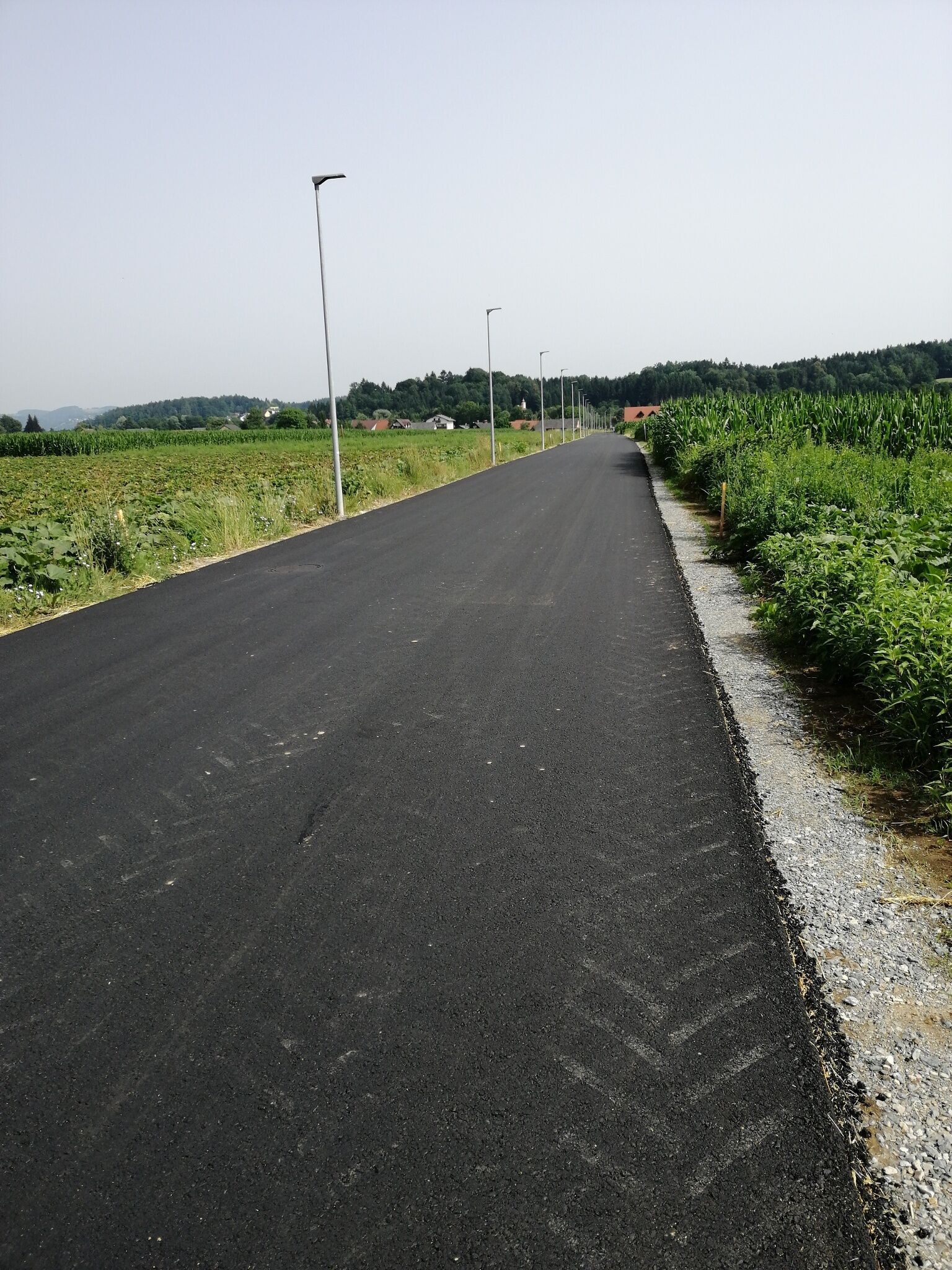 Foto zur Tour: Abend Lauf