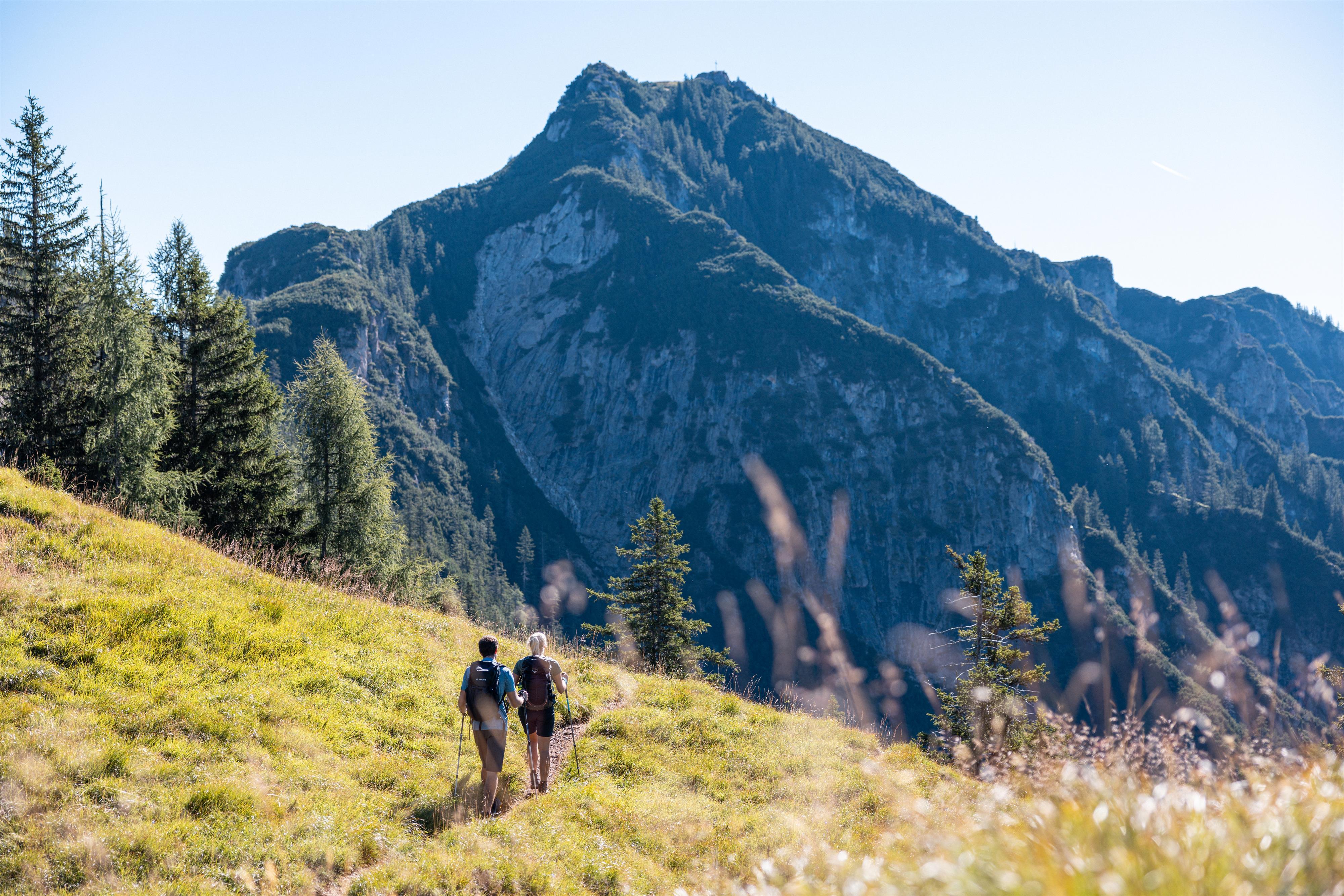 Rund um die Gratlspitze