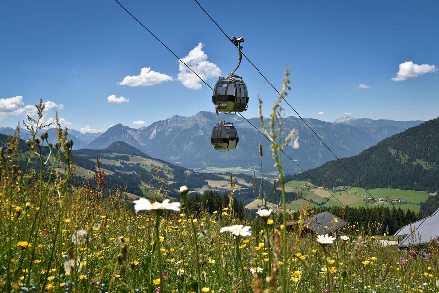 Wiedersbergerhornbahn Sommer Alpbach