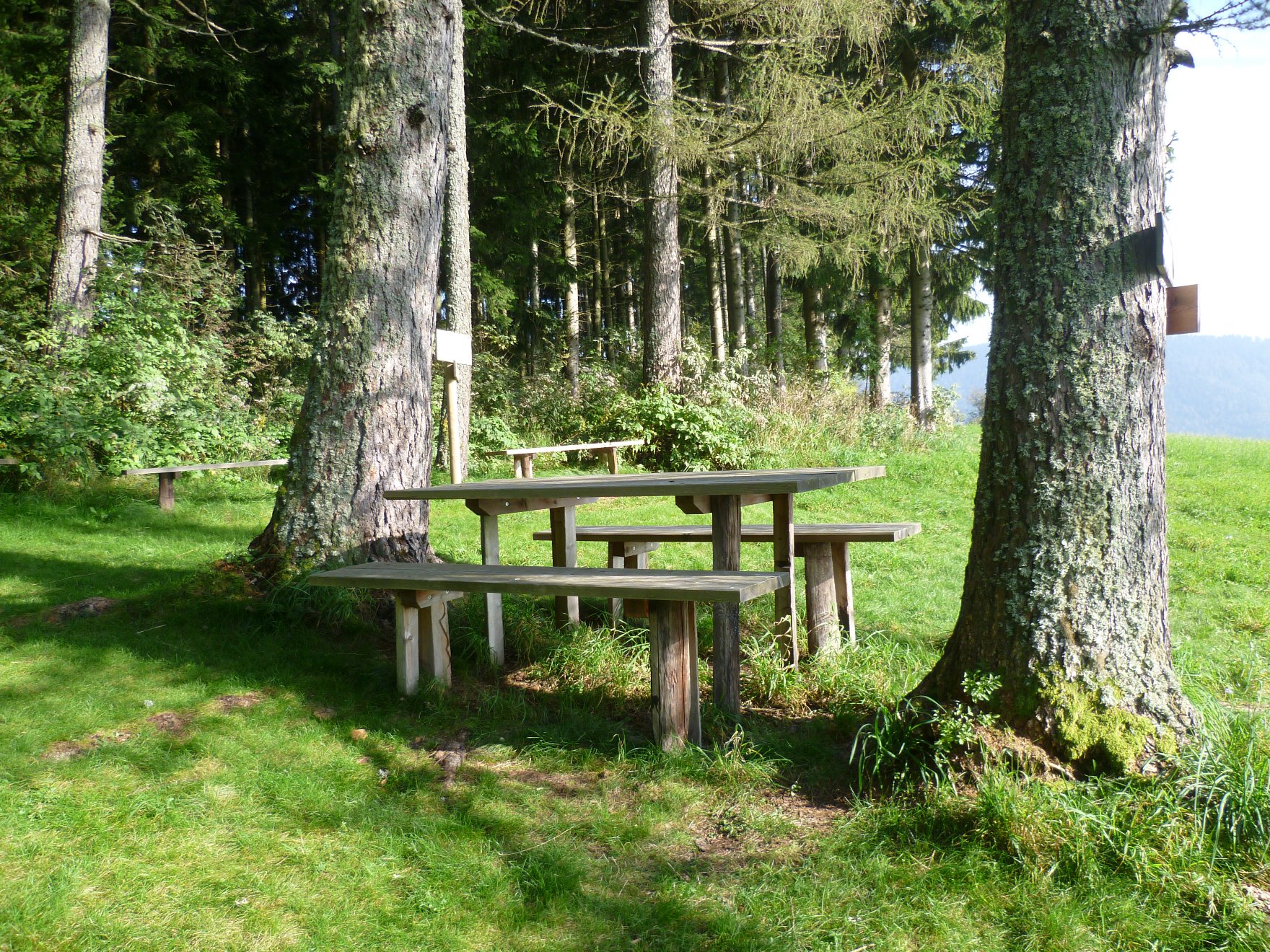 Photo for route: 5. Etappe: Weg der 100.000 Schritte, St. Kathrein - Weizklamm