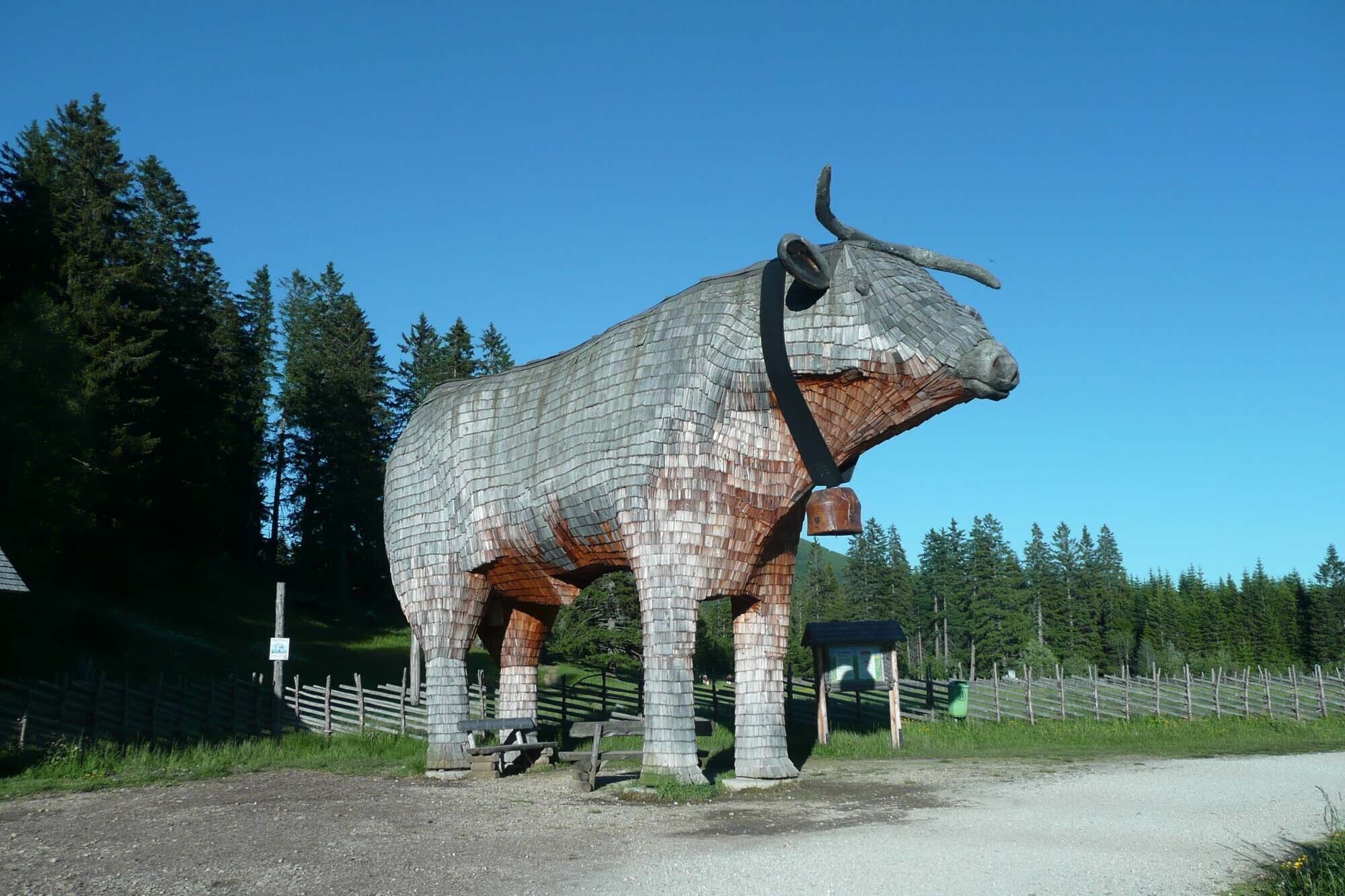 Foto zur Tour: Almenland-Wanderweg, Teichalm