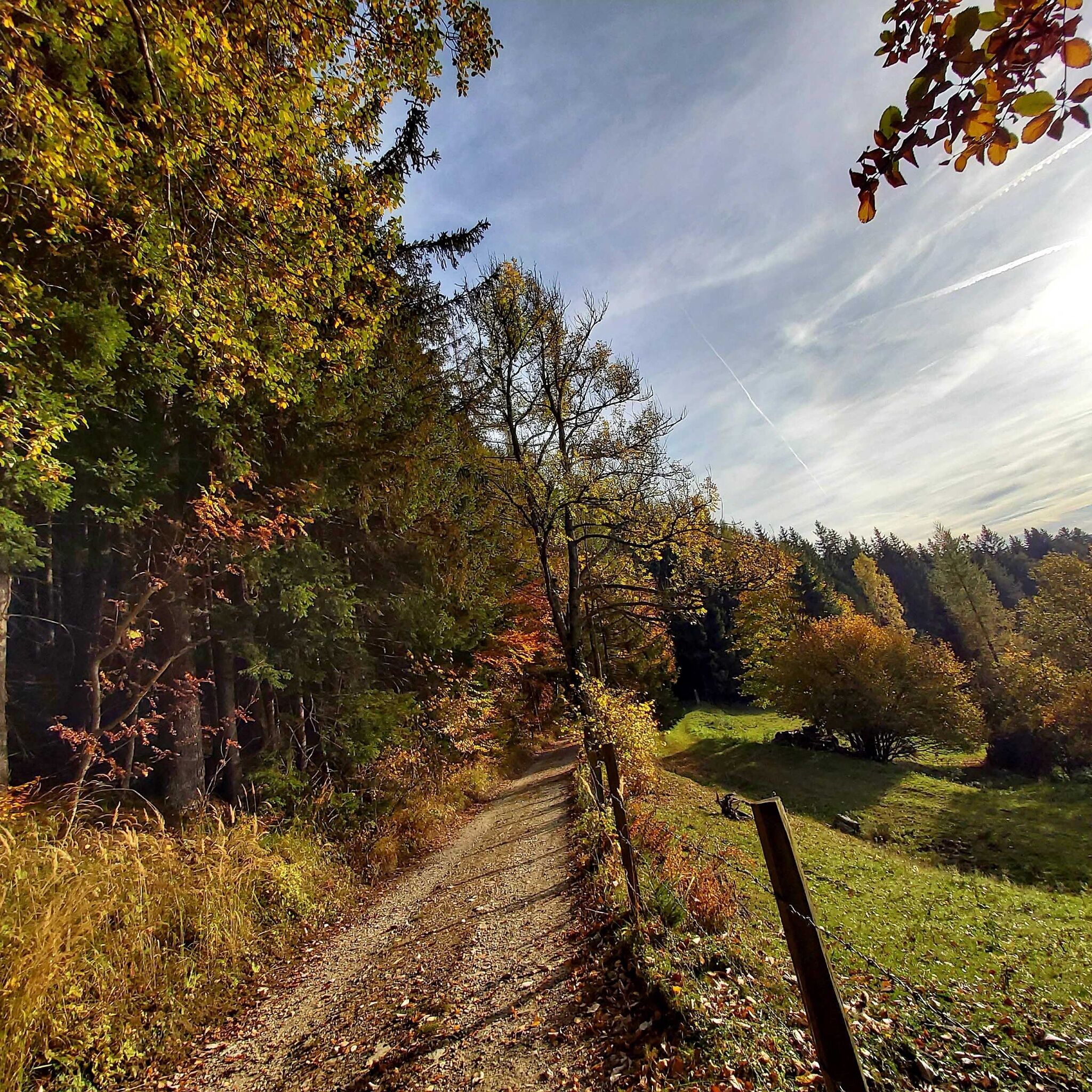 Photo for route: 2. Etappe: Weg der 100.000 Schritte, Neudorf b. Passail - Nechnitz