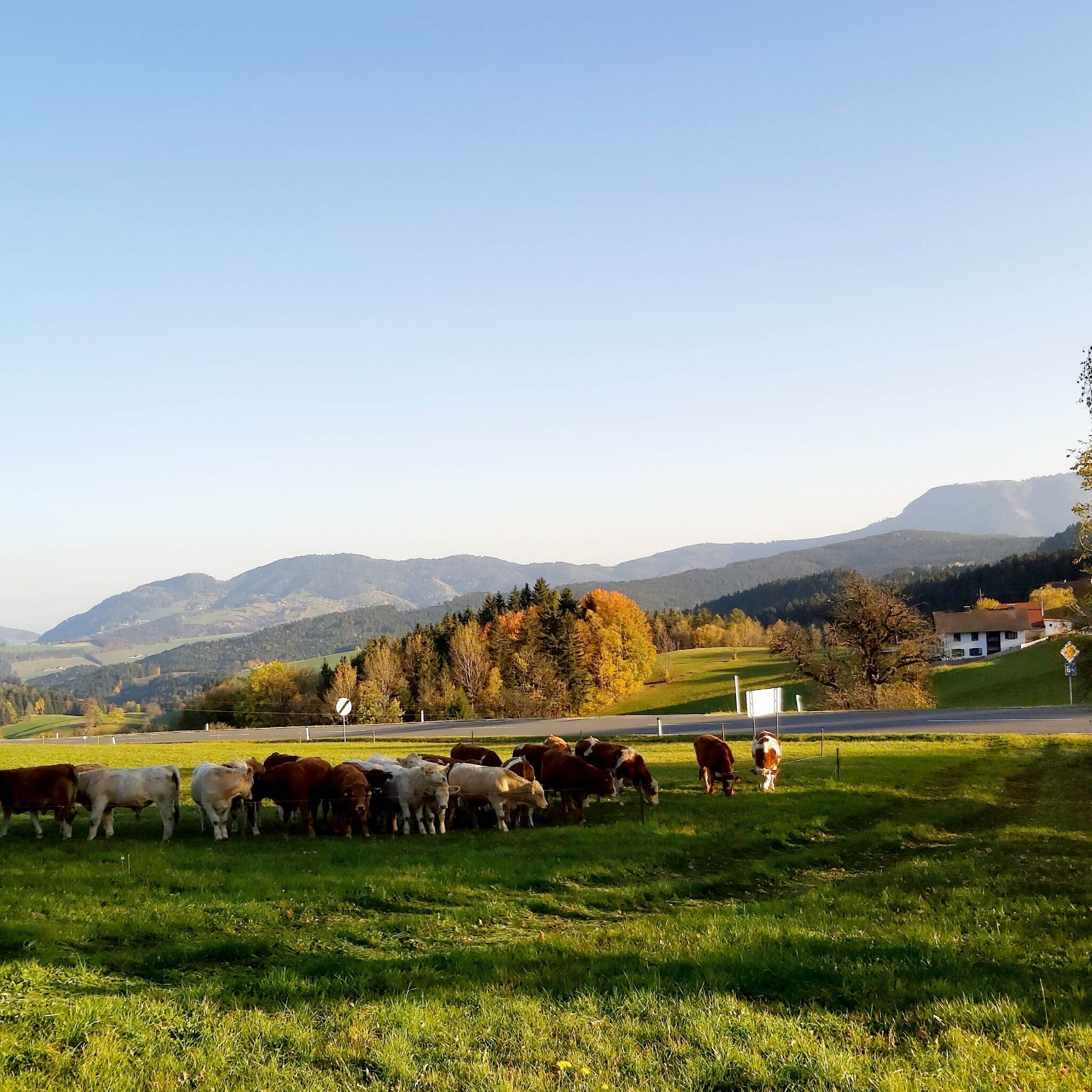 Photo for route: 2. Etappe: Weg der 100.000 Schritte, Neudorf b. Passail - Nechnitz