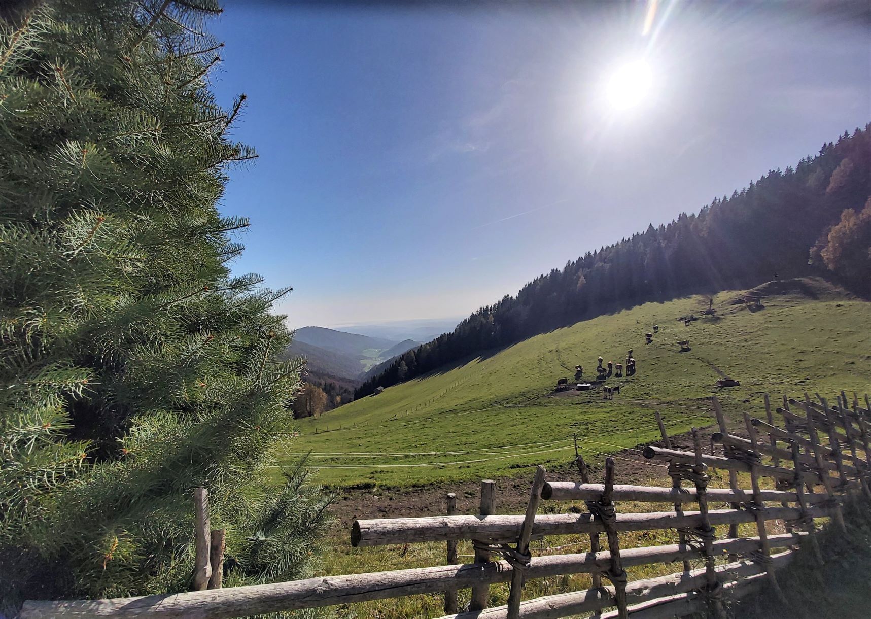 Photo for route: 5. Etappe: Weg der 100.000 Schritte, St. Kathrein - Weizklamm