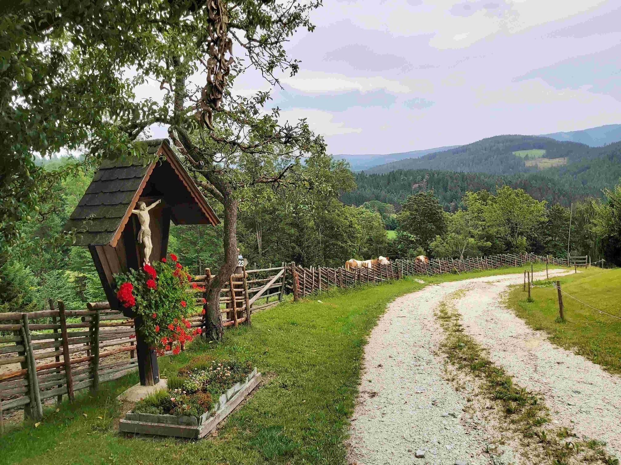 Foto zur Tour: alpannonia Rundweg - auf Peter Rosegger Spuren, St. Kathrein am Hauenstein