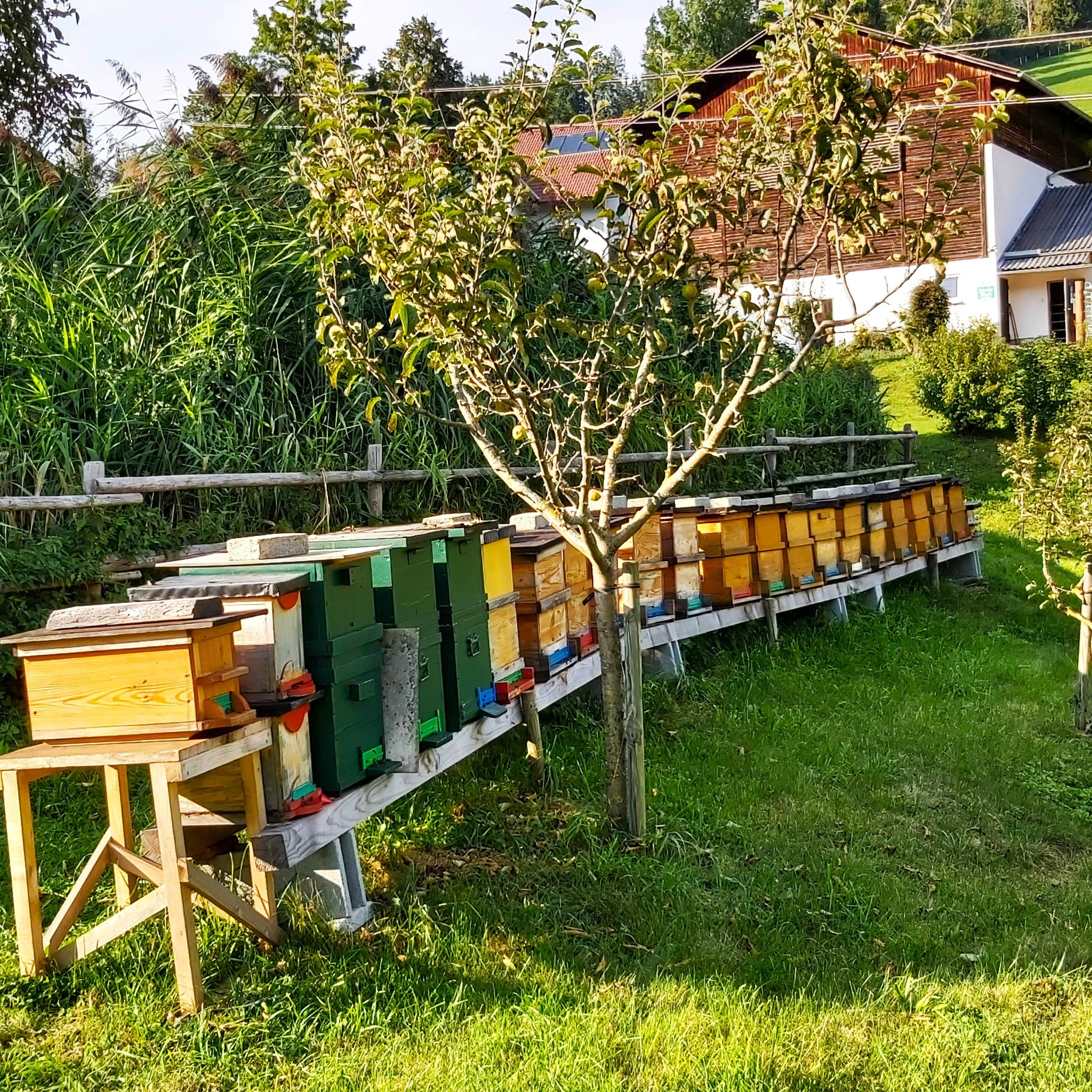 Photo for route: 2. Etappe: Weg der 100.000 Schritte, Neudorf b. Passail - Nechnitz