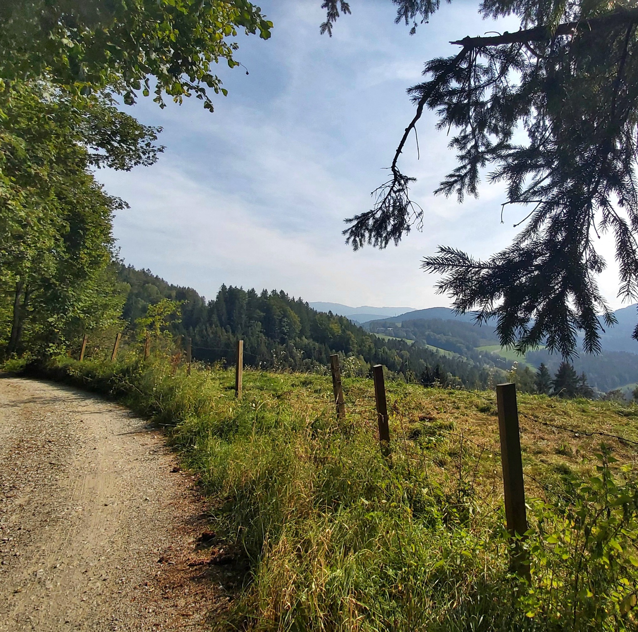 Photo for route: 2. Etappe: Weg der 100.000 Schritte, Neudorf b. Passail - Nechnitz