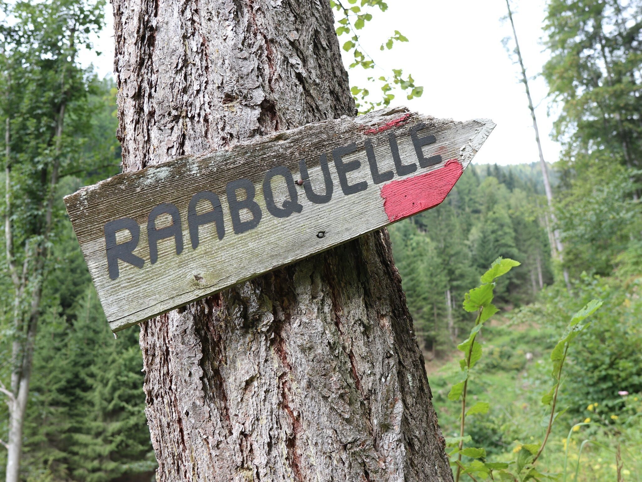 Photo for route: Alm-Runde über Raabursprung, Passail