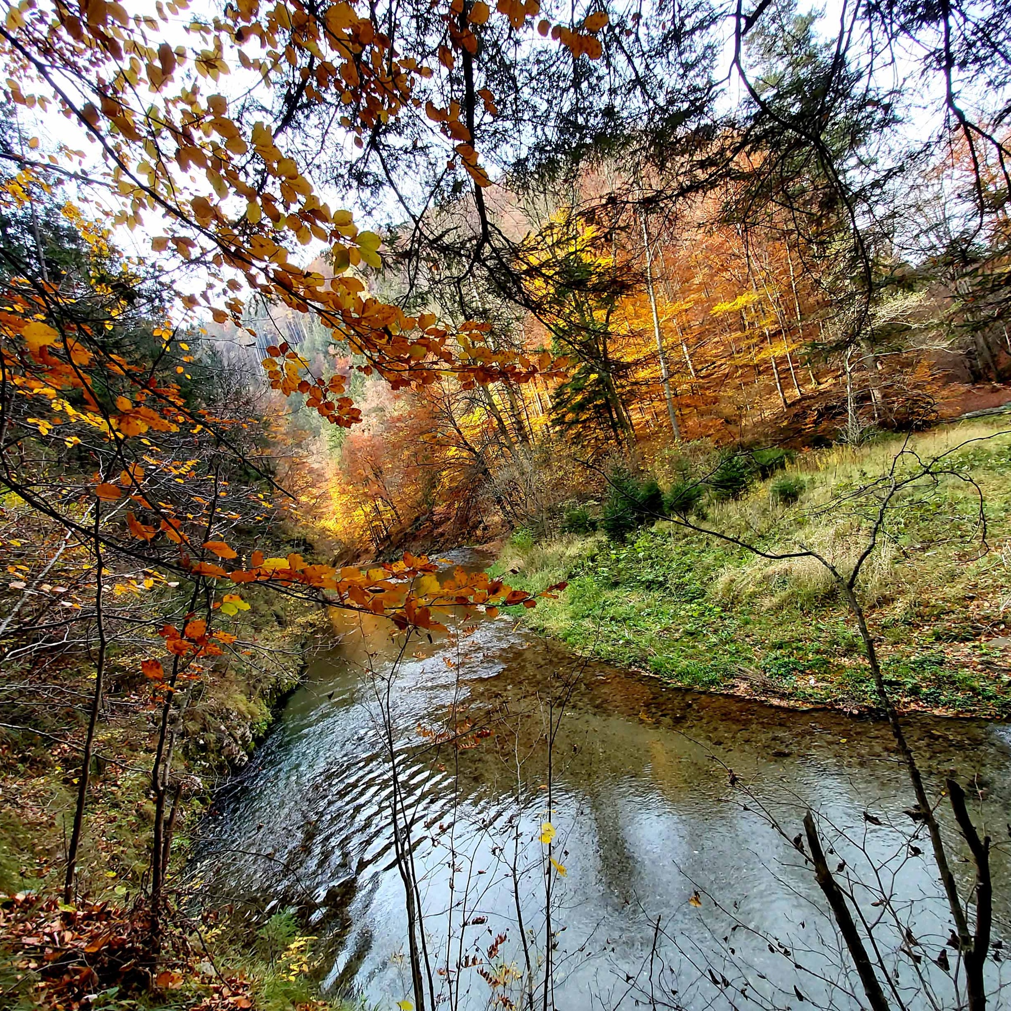 Foto zur Tour: 6. Etappe: Weg der 100.000 Schritte, Weizklamm - Arzberg