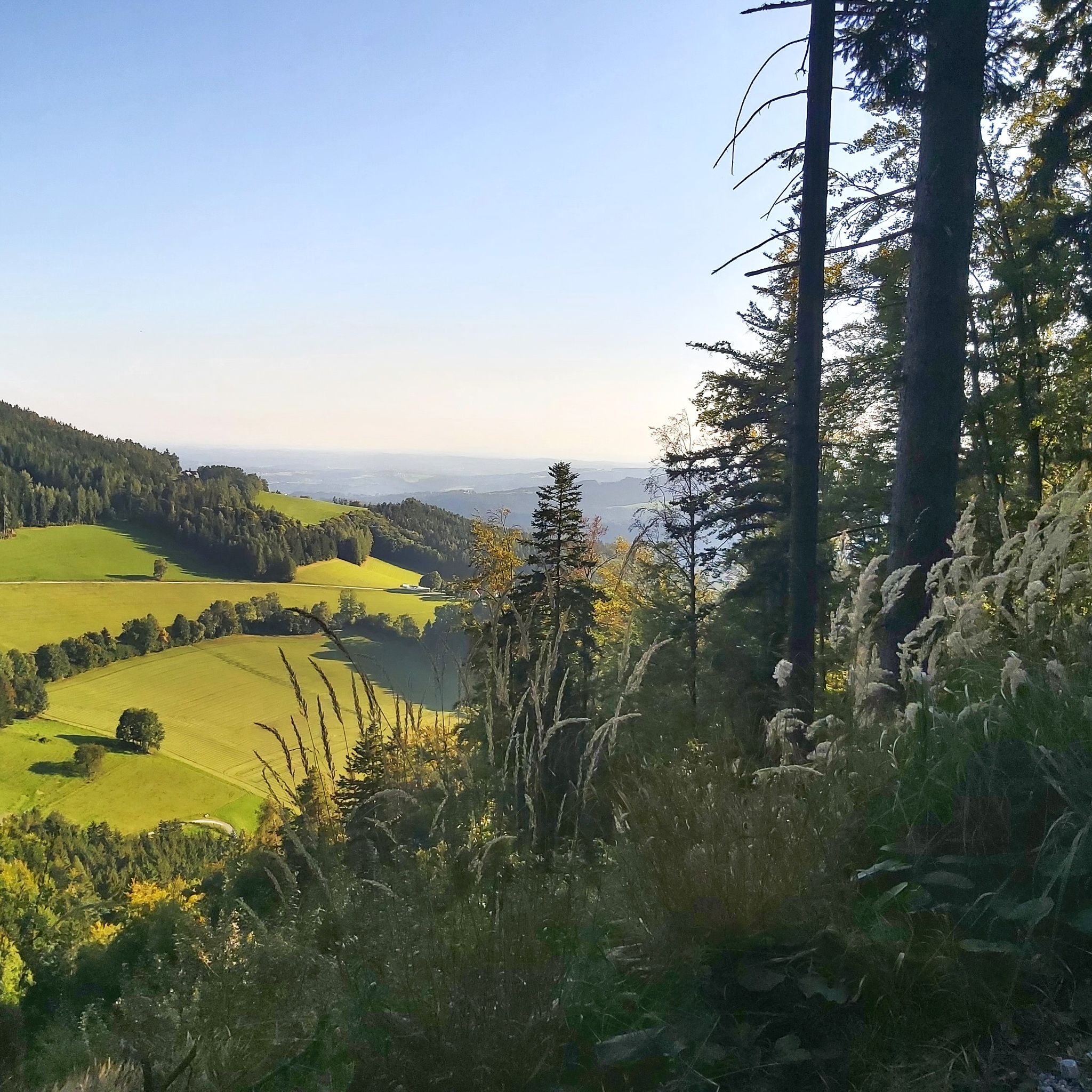 Foto zur Tour: 6. Etappe: Weg der 100.000 Schritte, Weizklamm - Arzberg