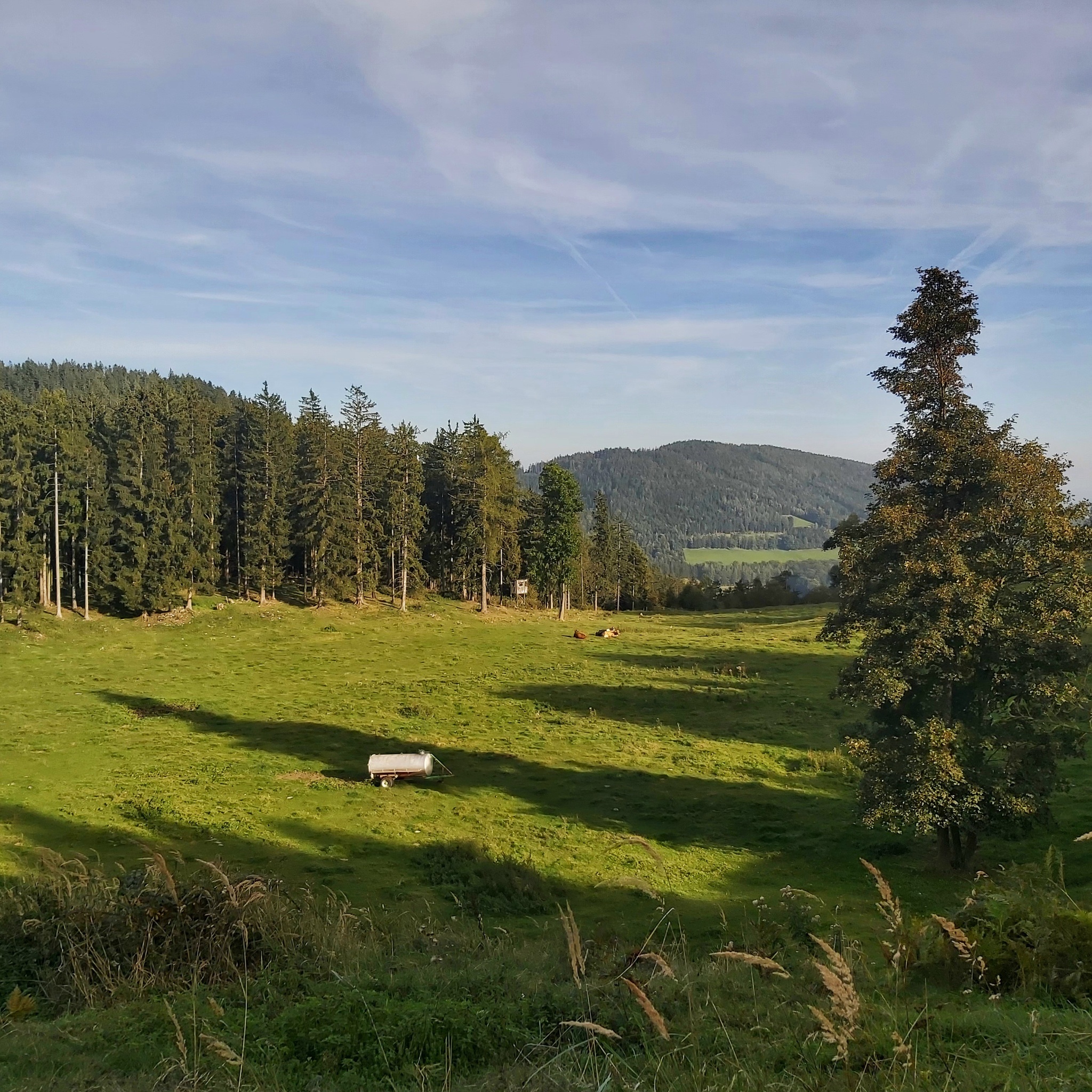 Foto zur Tour: 6. Etappe: Weg der 100.000 Schritte, Weizklamm - Arzberg