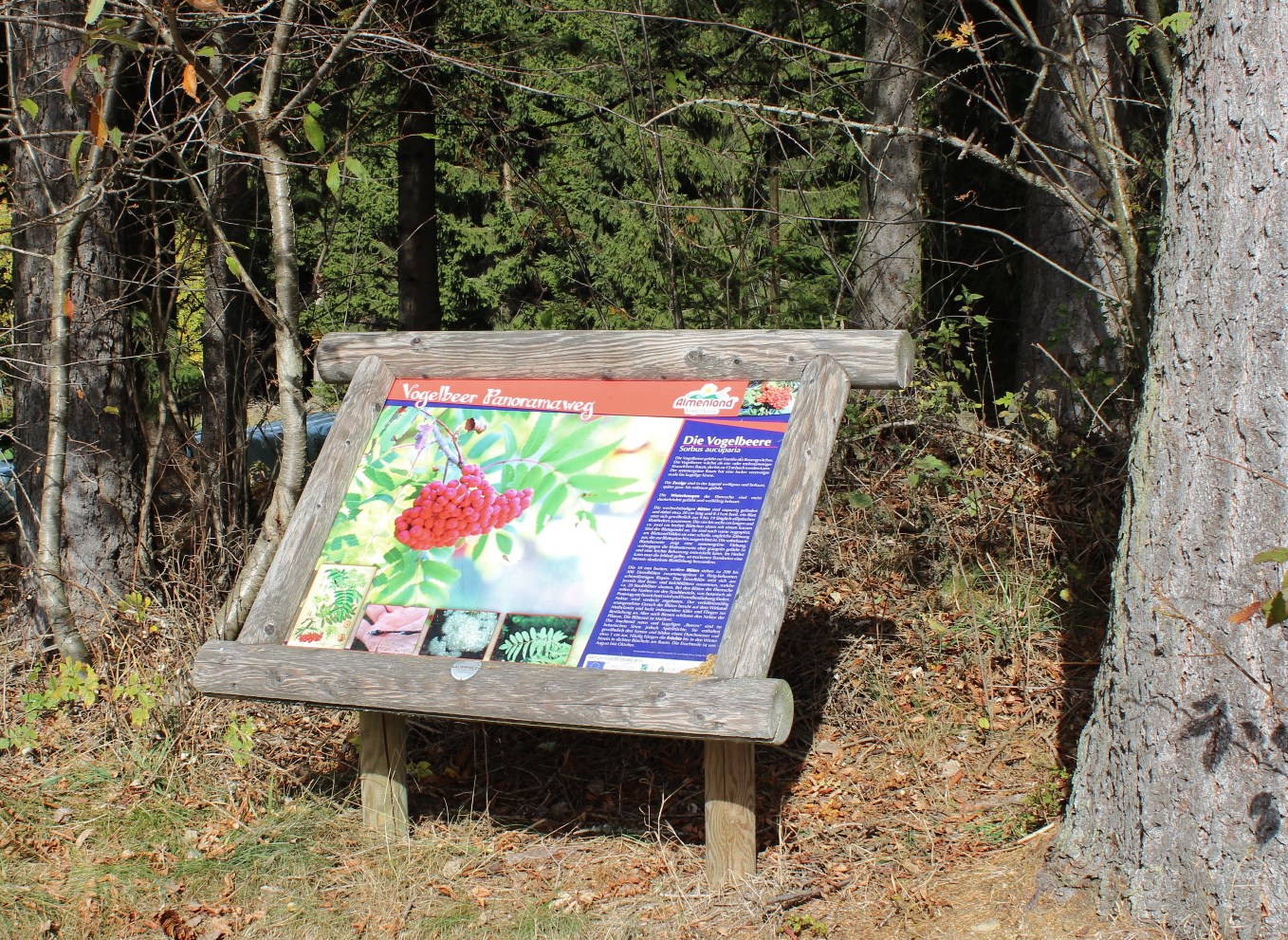 Photo for route: 5. Etappe: Weg der 100.000 Schritte, St. Kathrein - Weizklamm
