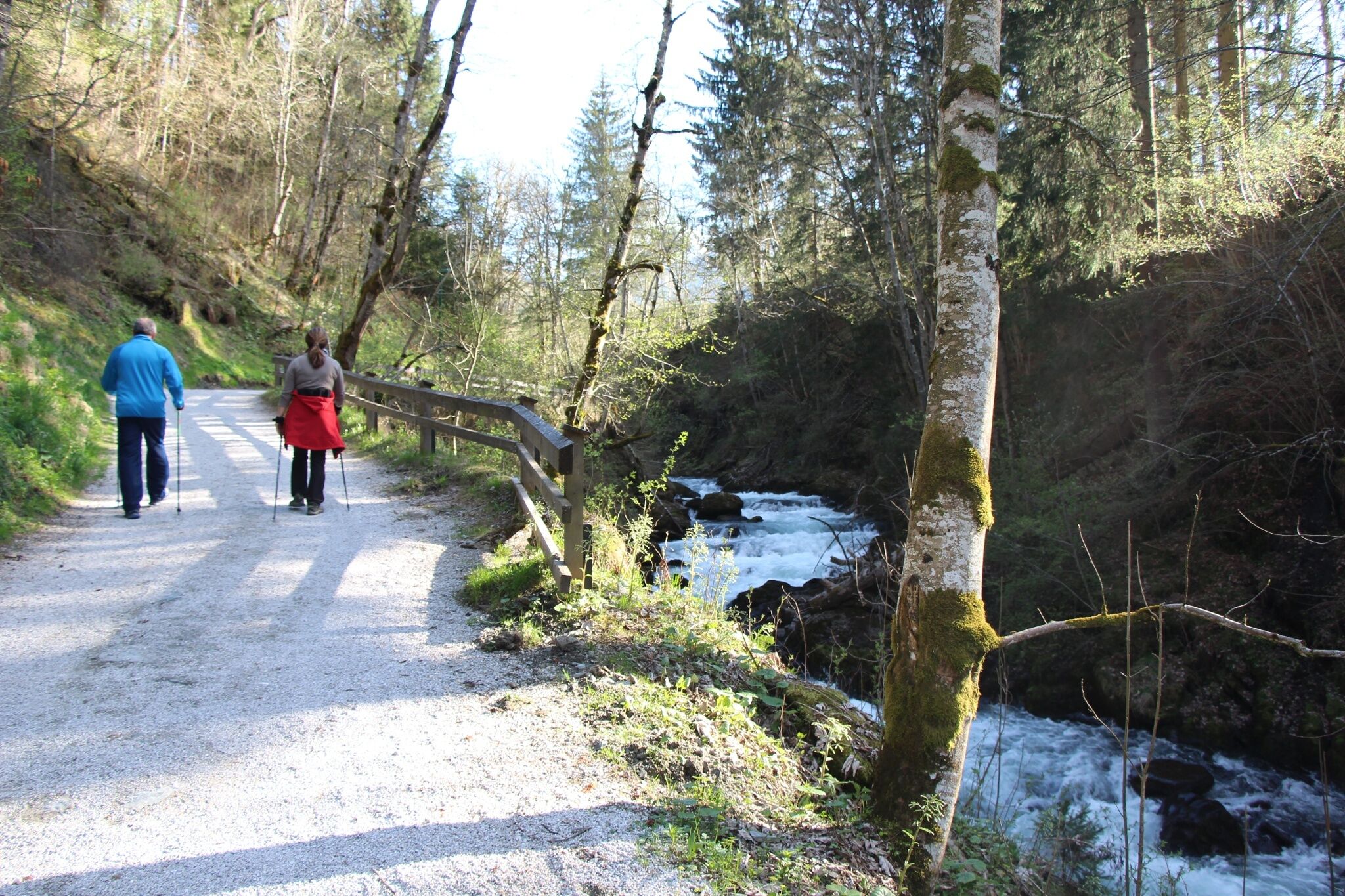 Ein befestigter Wanderweg führt entlang des fließenden Gewässers durch bewaldetes Gebiet. Die Strecke ist mit einem Holzgeländer gesichert.