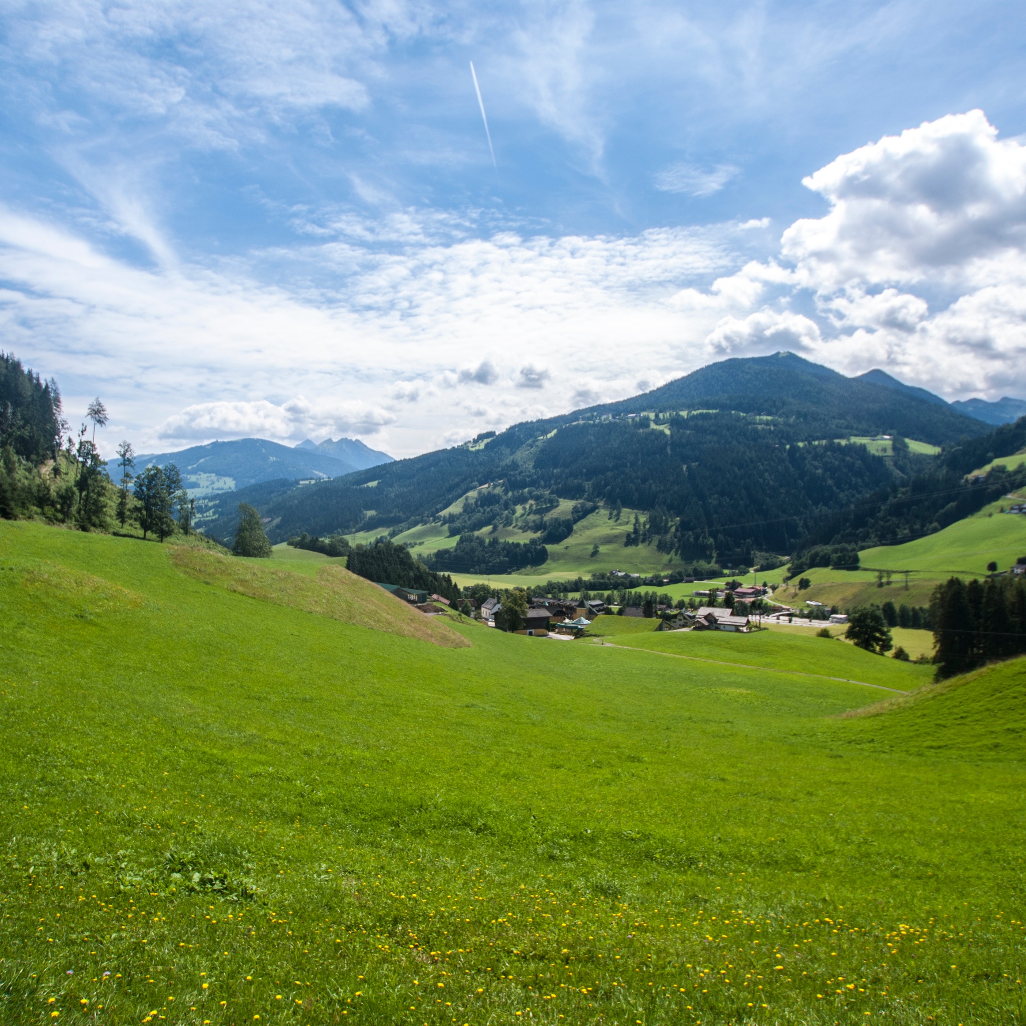 Die Aufnahme zeigt eine weite Almwiese im Vordergrund. Im Tal liegt die Ortschaft Pichl, umgeben von bewaldeten Bergen und alpiner Landschaft.