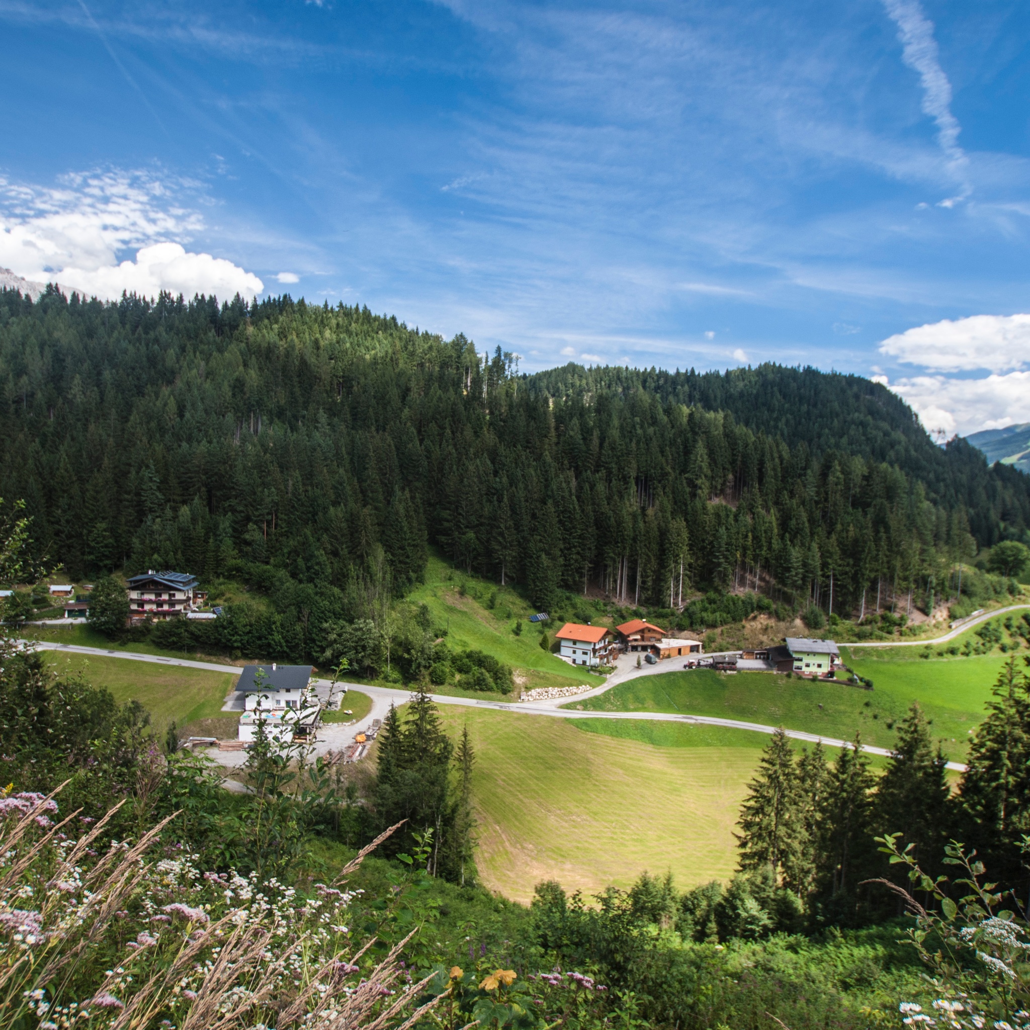Die Aufnahme zeigt verstreute Häuser an der Vorbergstraße, umgeben von grünen Almwiesen und dichtem Nadelwald. Im Vordergrund sind alpine Wildblumen zu sehen.
