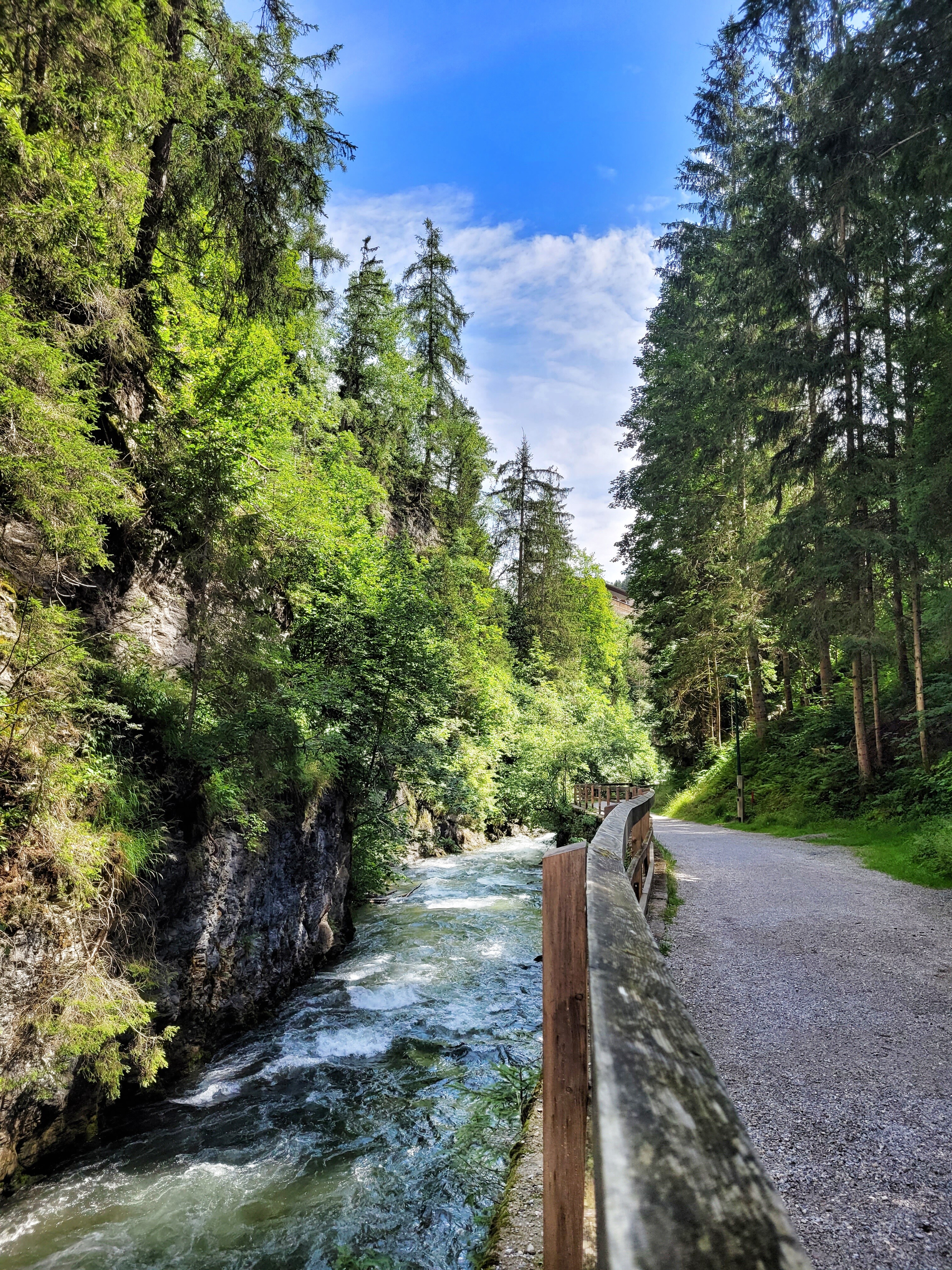 Der Schotterweg führt entlang des Talbachs durch eine enge Schlucht. Hohe Nadelbäume und steile Felswände säumen den Pfad der Tour Wilde Wasser.
