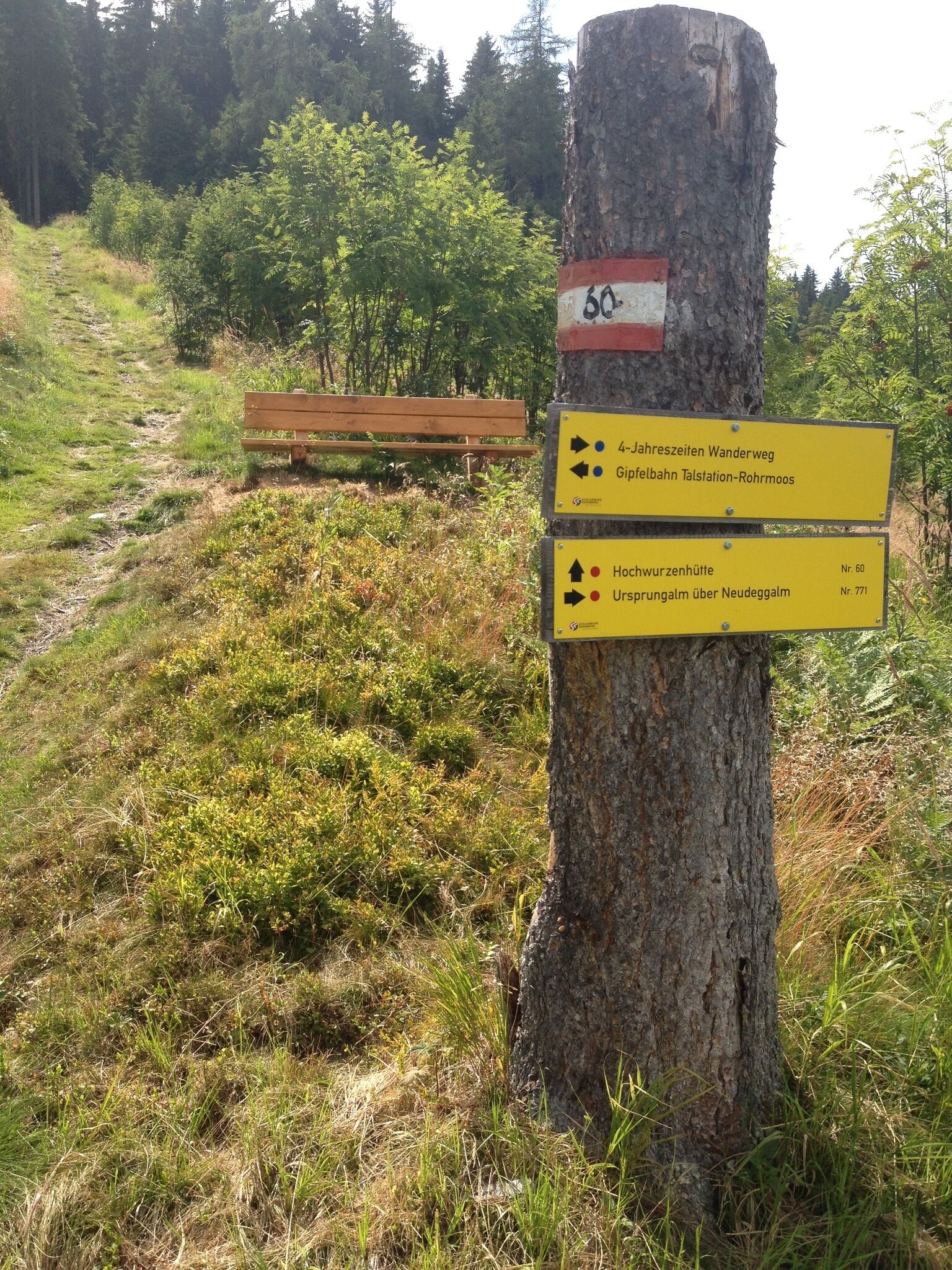 Ein Baumstamm dient als Träger für gelbe Wanderschilder und eine rot-weiß-rote Markierung. Im Hintergrund befinden sich ein ansteigender Pfad und eine hölzerne Rastbank.