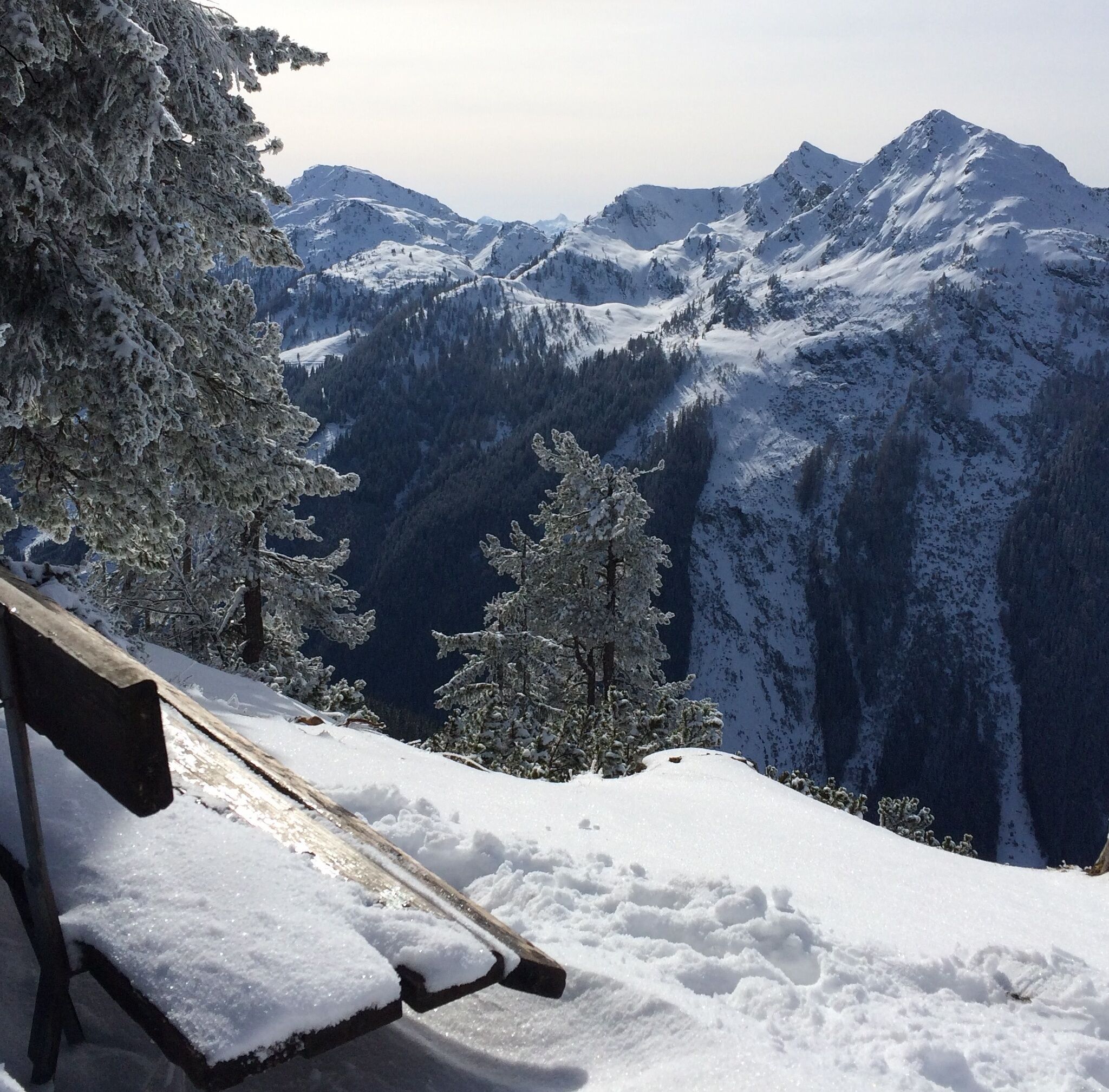 Eine schneebedeckte Bank am Wegrand bietet Aussicht auf das Preuneggtal und die umliegende Bergwelt. Im Vordergrund stehen vereiste Nadelbäume.