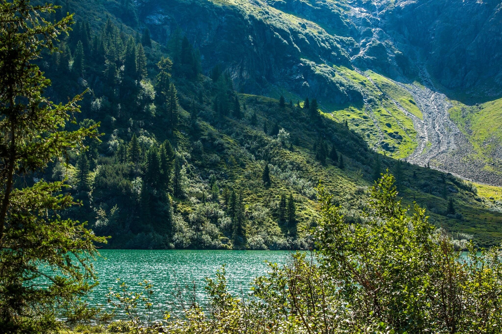 Der Obersee liegt eingebettet in eine alpine Landschaft mit dichten Nadelwäldern und felsigen Berghängen. Im Hintergrund ist ein markantes Geröllfeld unterhalb der Gipfel erkennbar.