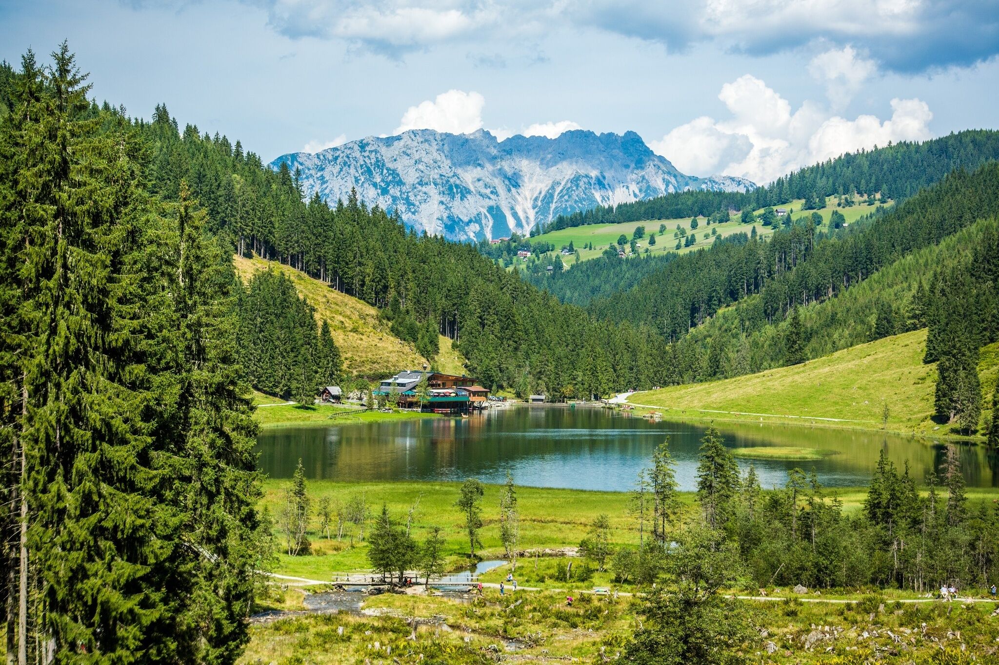 Der Steirischer Bodensee liegt eingebettet in bewaldete Hänge. Im Hintergrund ist das felsige Massiv der Schladminger Tauern unter leicht bewölktem Himmel sichtbar.
