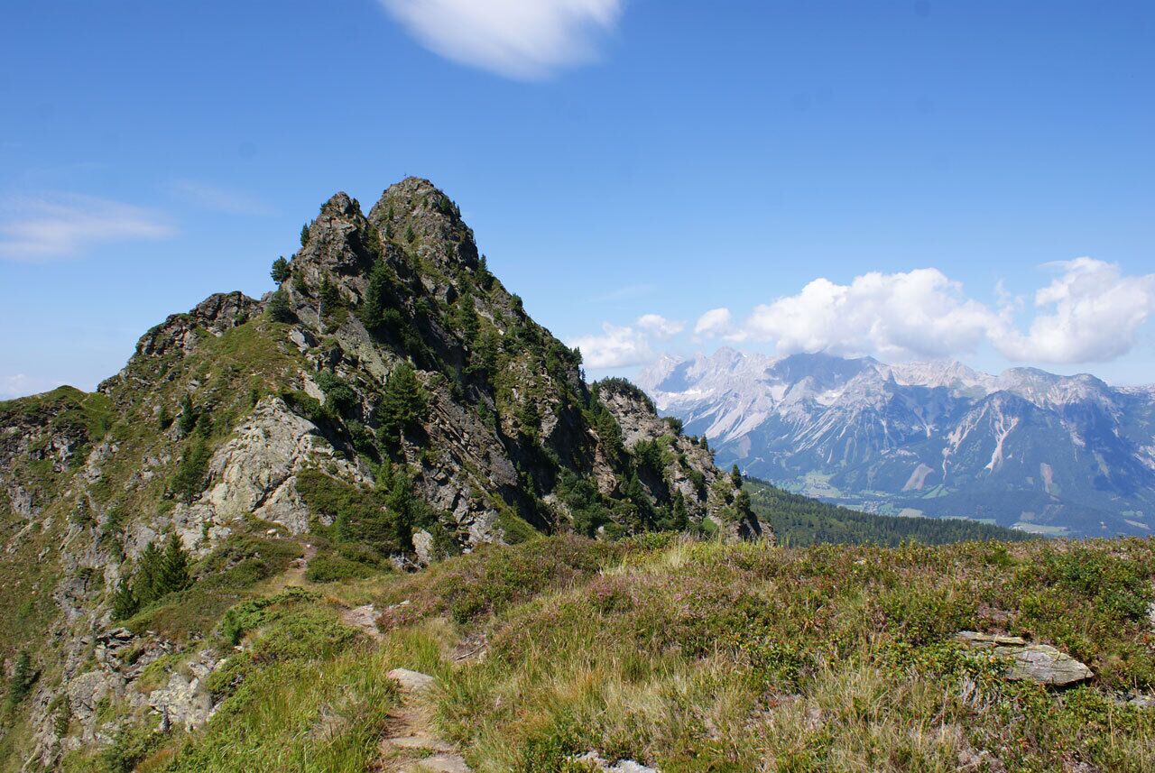Blick auf den felsigen Gipfel des Krahbergzinken im Sommer. Im Hintergrund ist das Dachsteinmassiv unter leicht bewölktem Himmel zu sehen.