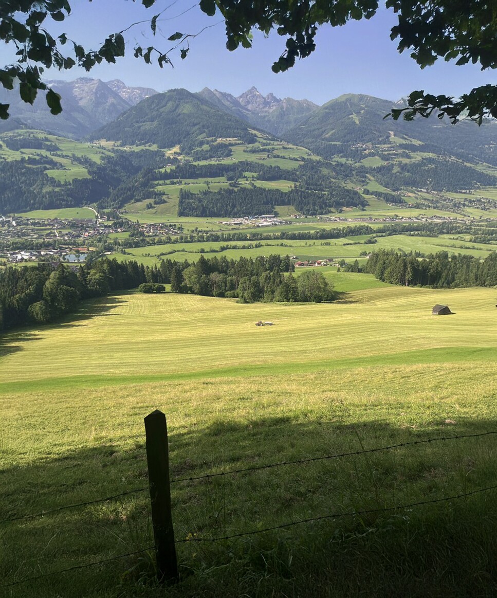 Die Aufnahme zeigt eine alpine Landschaft mit weiten Grasflächen, bewaldeten Hängen und Aich im Ennstal. Im Hintergrund erstrecken sich die markanten Schladminger Tauern.