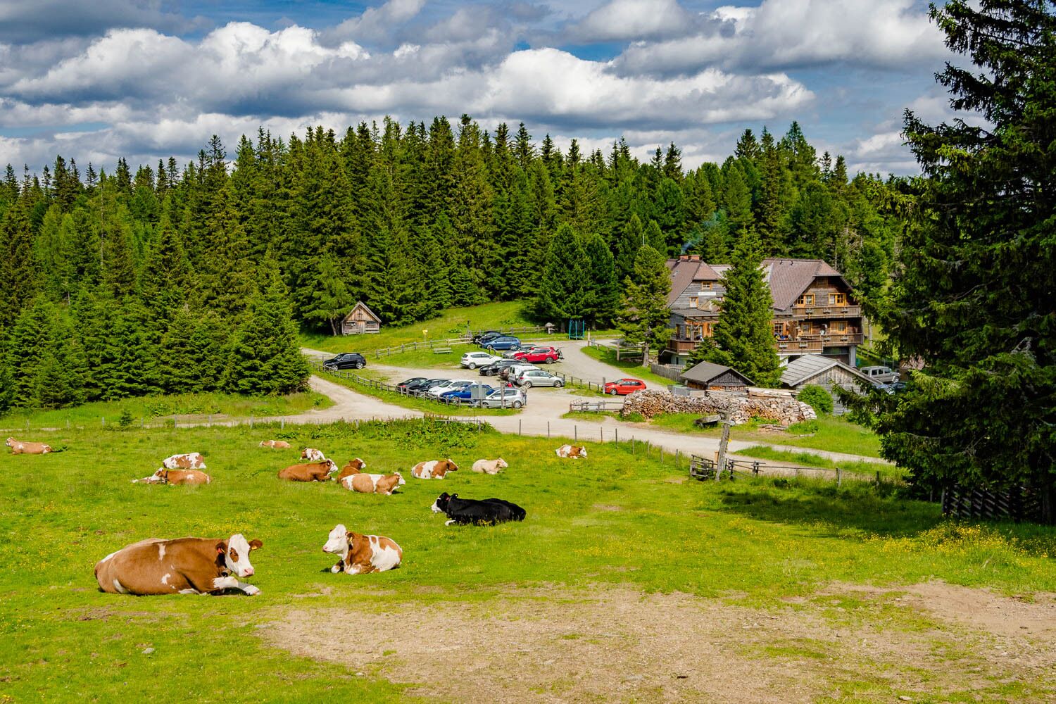 Foto zur Tour: Almhüttenrunde