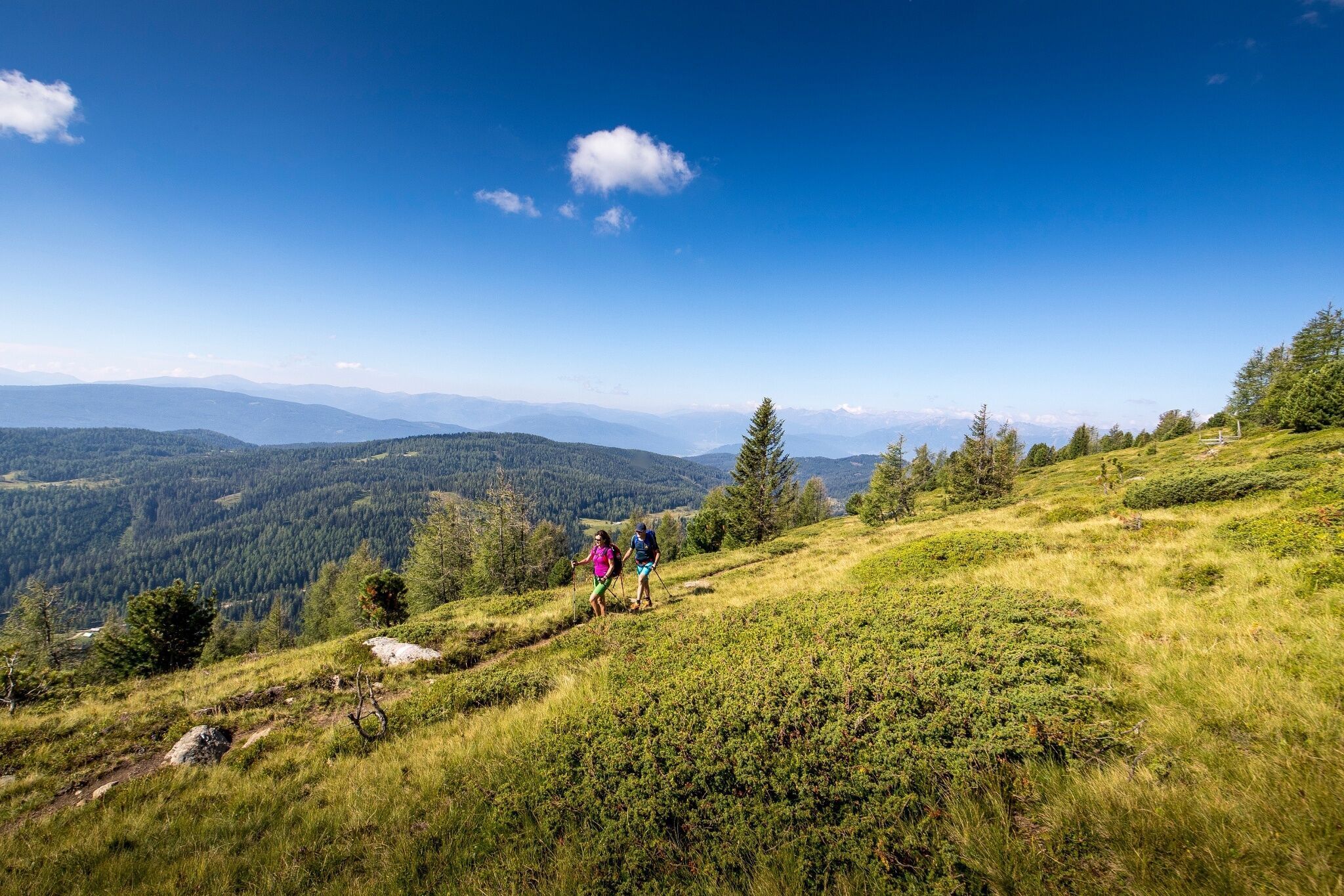 Photo for route: 8-Gipfel-Wanderung: Vom Kreischberg zur Frauenalpe