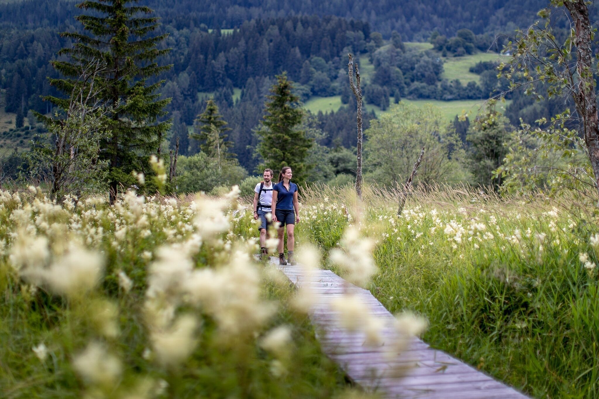 Foto zur Tour: Althaus-Hörfeld-Runde