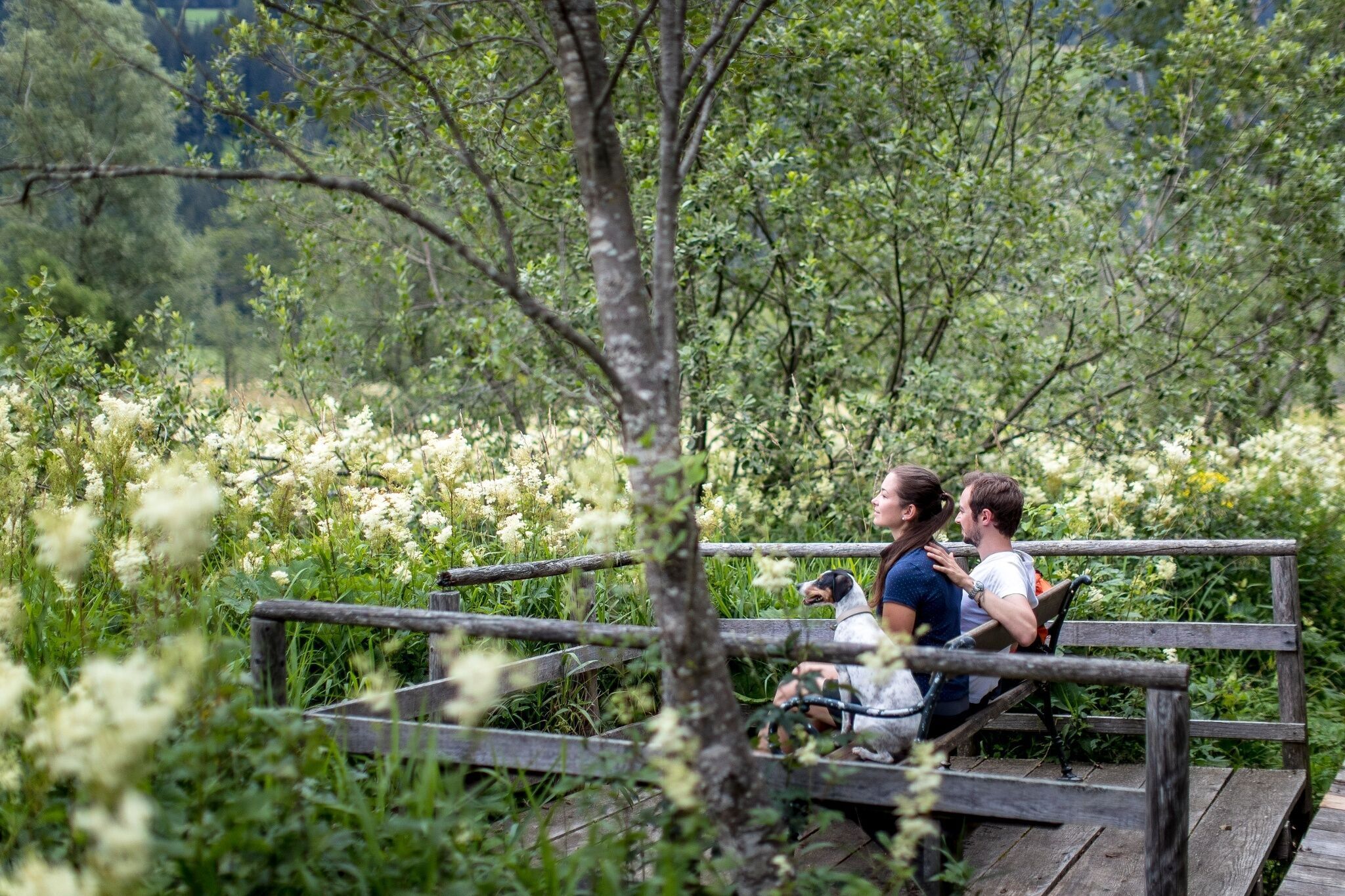 Foto zur Tour: Althaus-Hörfeld-Runde