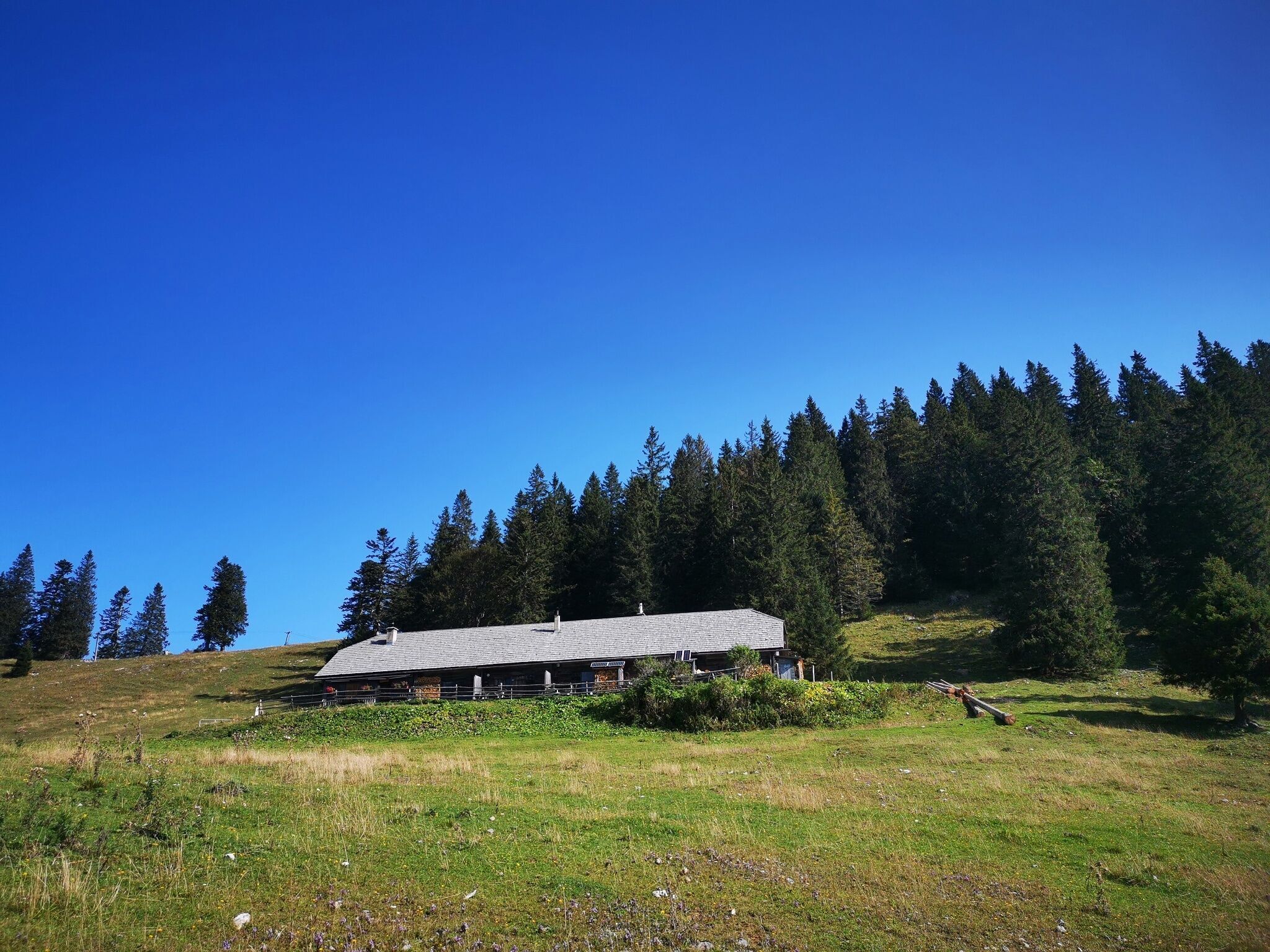 Foto zur Tour: Almenwanderung Niederalpl - Schöneben