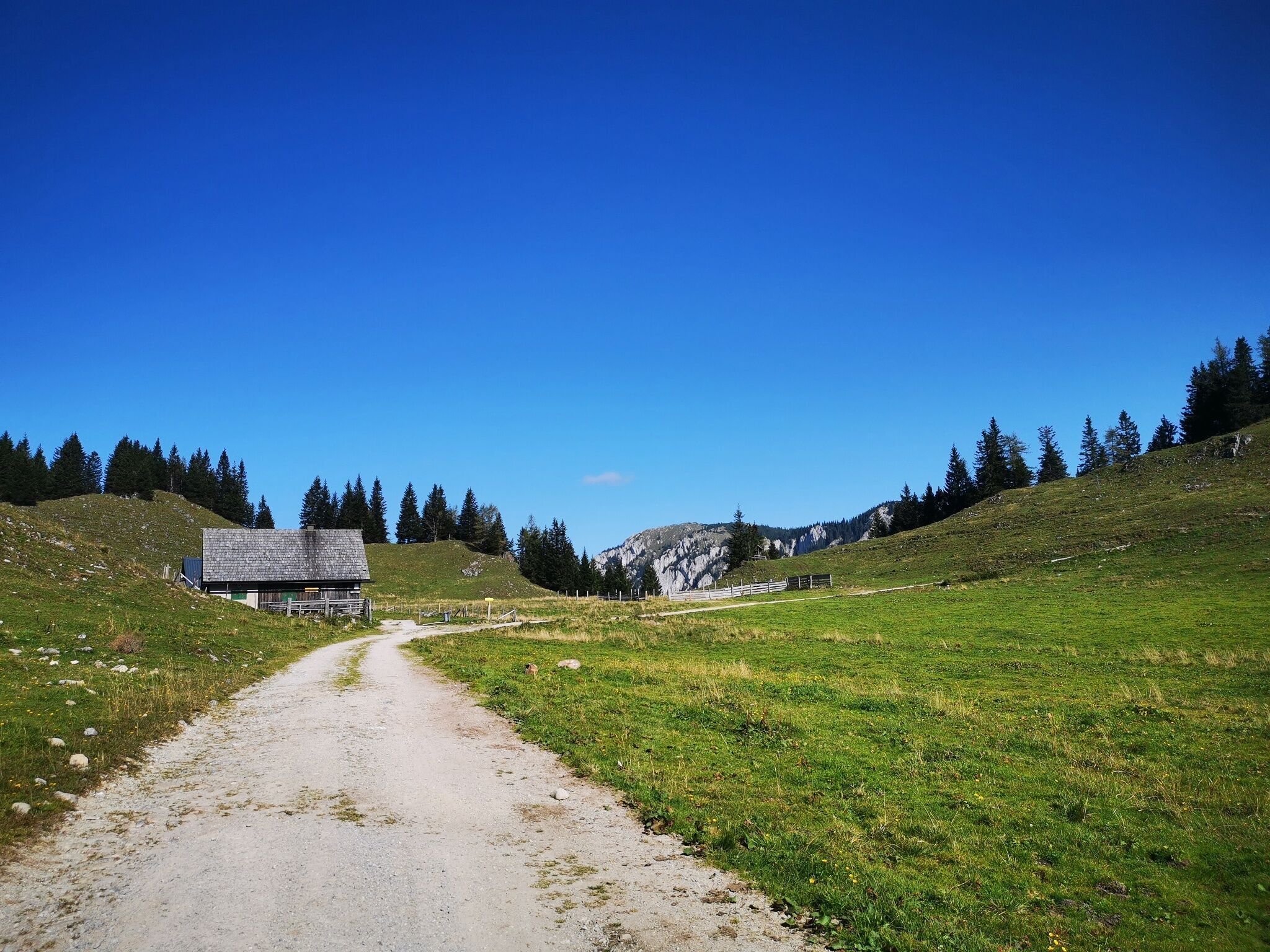 Foto zur Tour: Almenwanderung Niederalpl - Schöneben