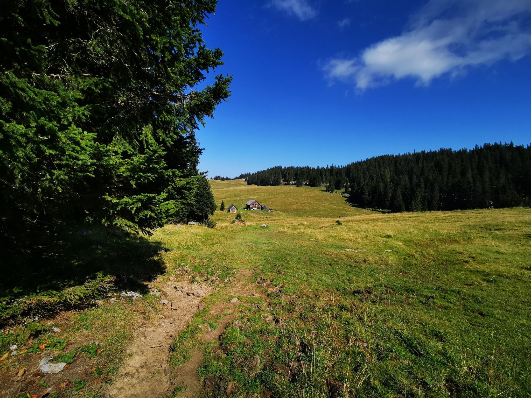 Foto zur Tour: Almenwanderung Niederalpl - Schöneben