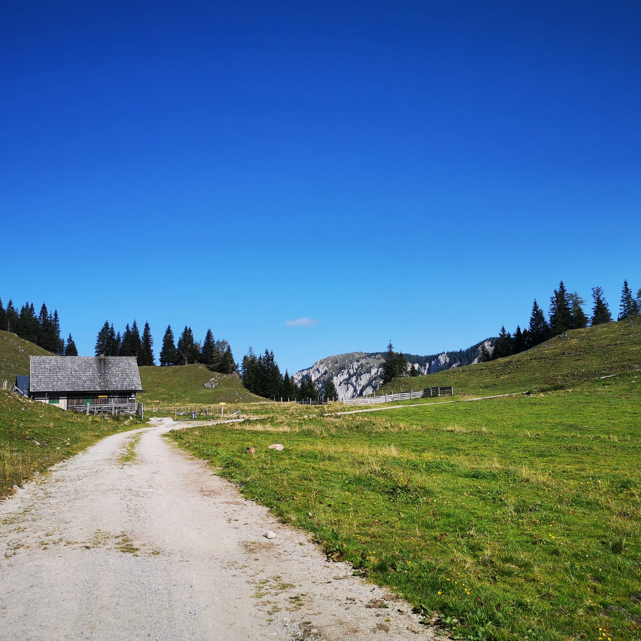Foto zur Tour: Almenwanderung Tonion