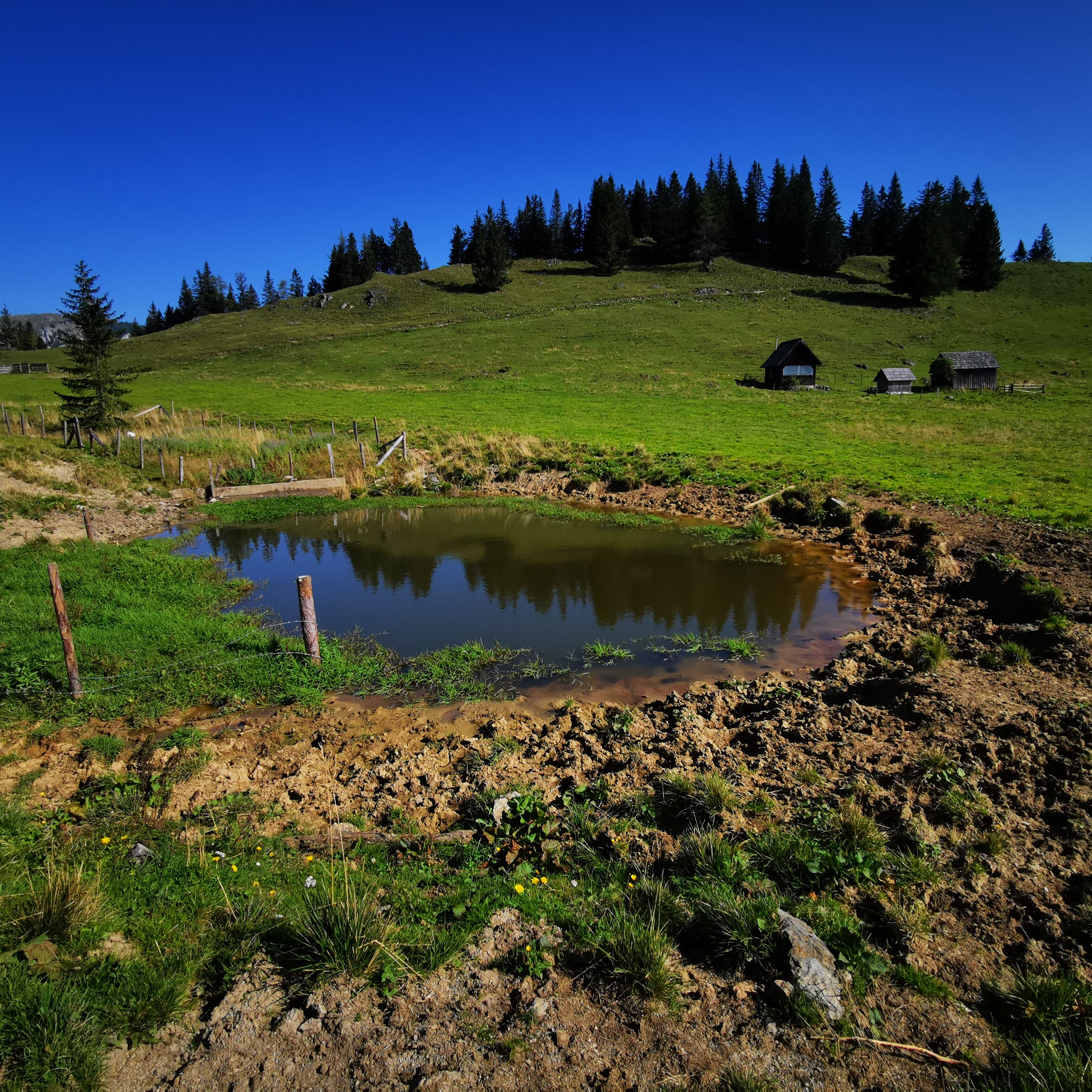 Foto zur Tour: Almenwanderung Tonion