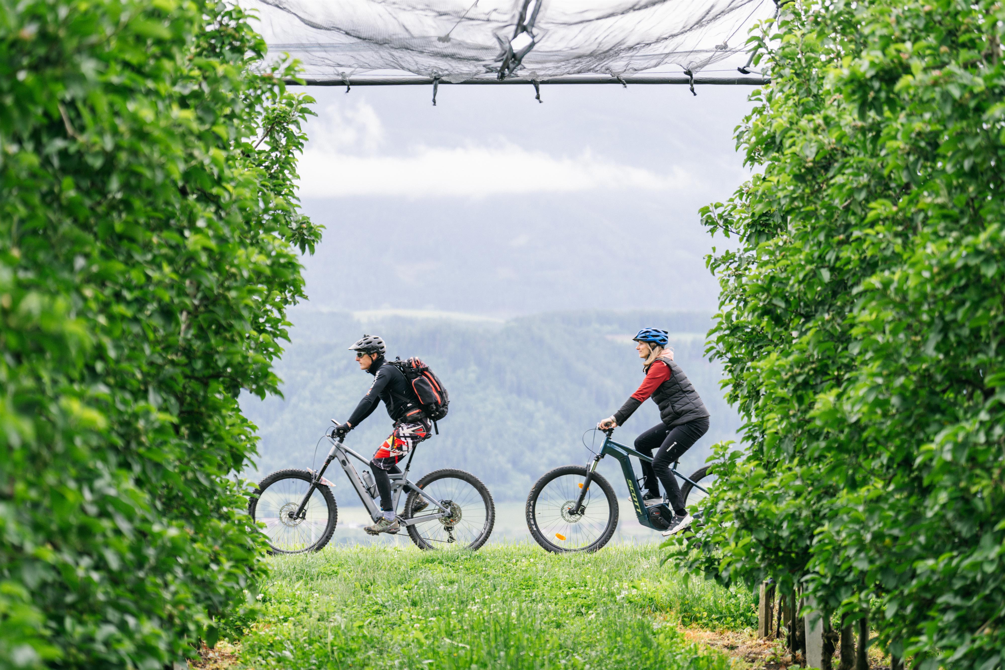 Kulinarische Radtour durch die Region