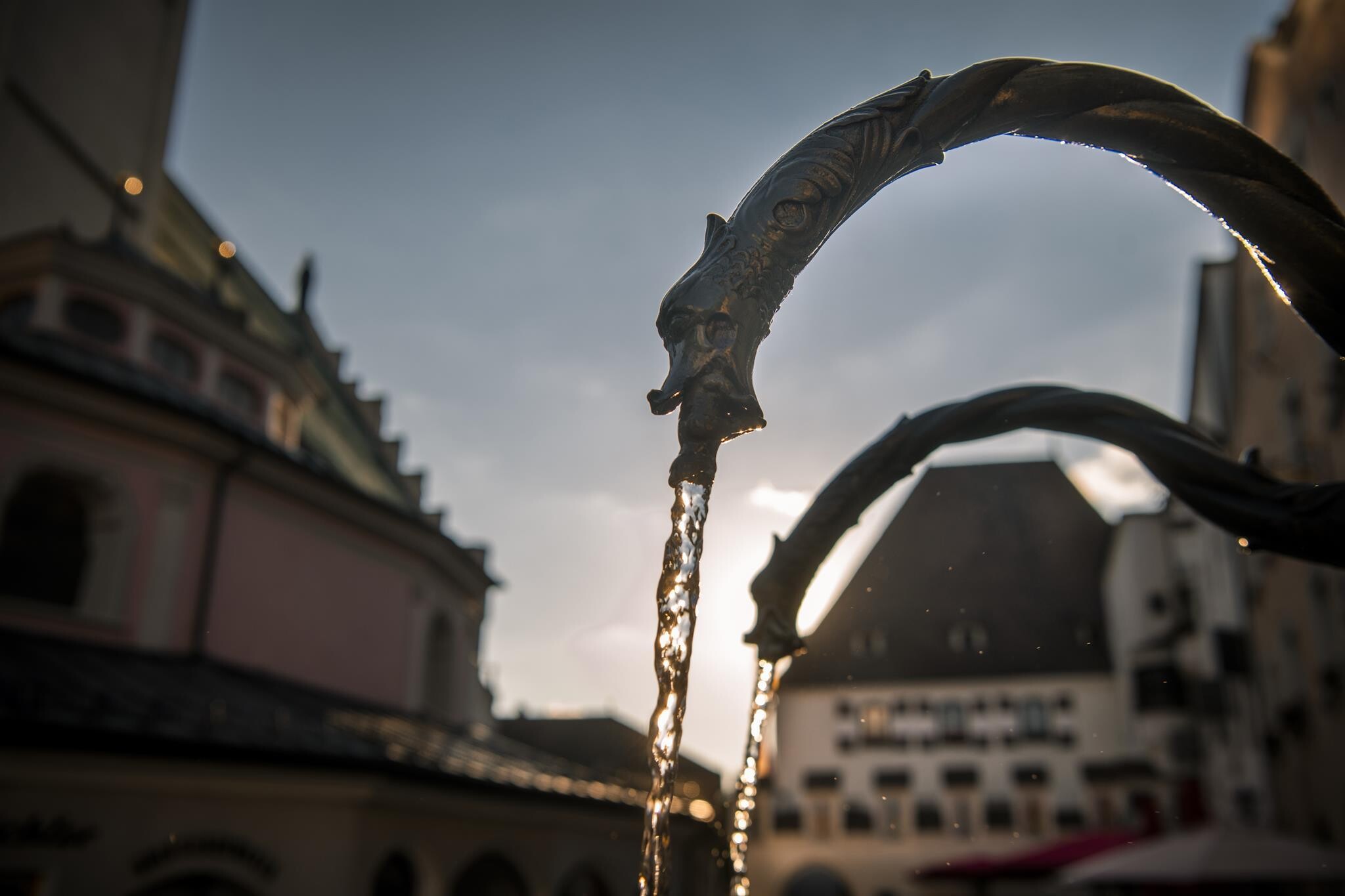Themenführung: Von wilden Häuptern, Salzkristallen, Fröschen und einer Königin