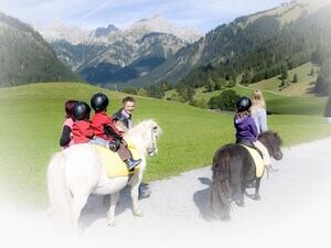 Reitunterricht für Anfänger und Fortgeschrittene