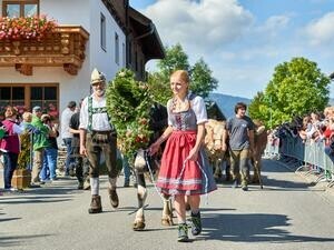 Alpfahrt Schattwald