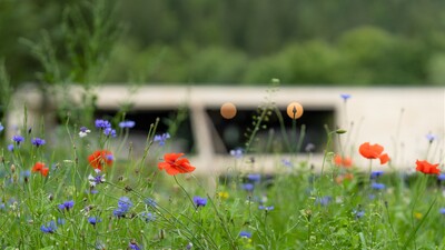Naturparkhaus Hinterriss
